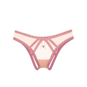 Victoria’s Secret Dream Angels Sheer Ribbon Slot Open-Back Brazilian Panty
